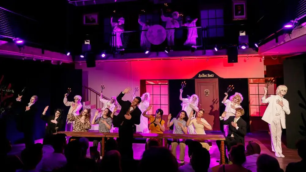 theaterscool de springplank